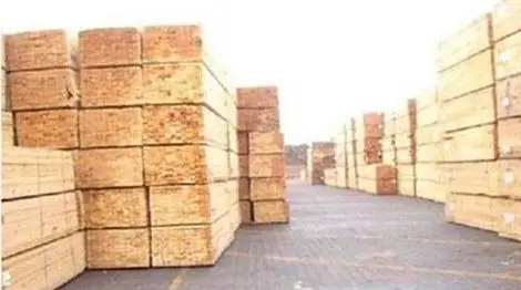 鹰潭国内外木材市场新动态：刚果布大量锯木厂停滞…